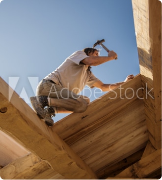 Bonjour tout le monde !